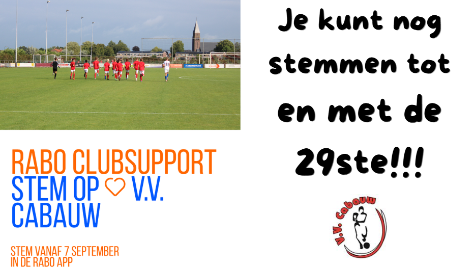 Vergeet niet te stemmen voor de 29ste!